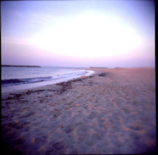 Holga 08