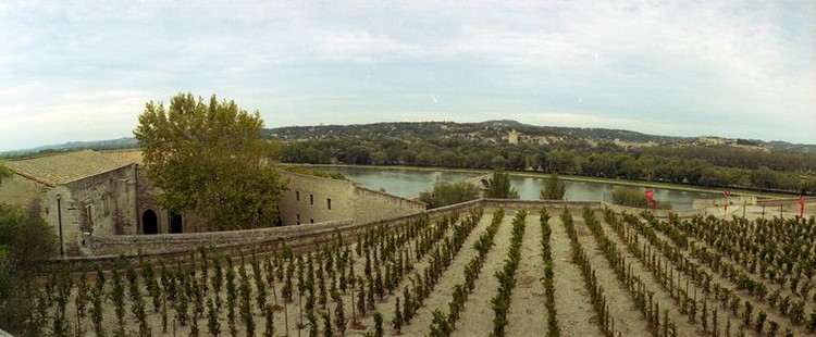 A cot du palais des papes