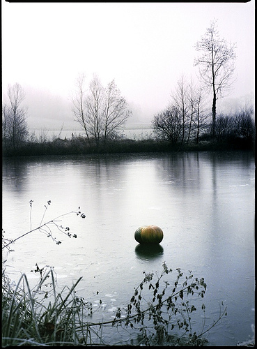 citrouille sur glace