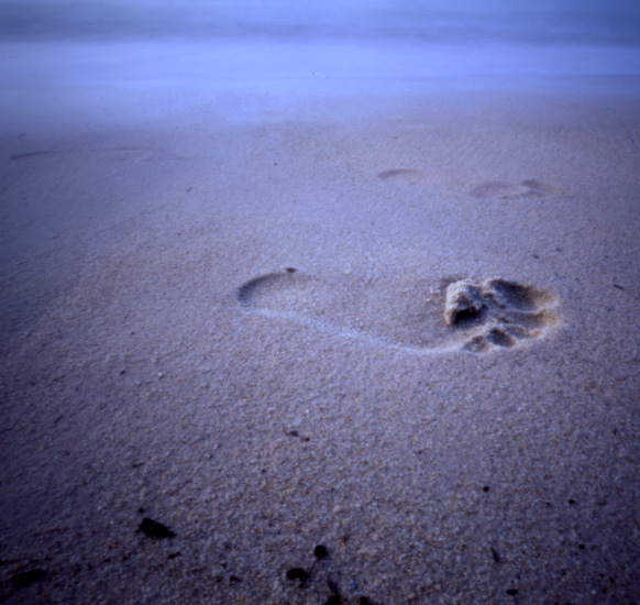 Le fantome dans le sable