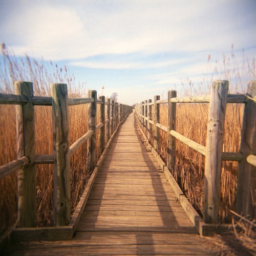 Souvenir de Camargue