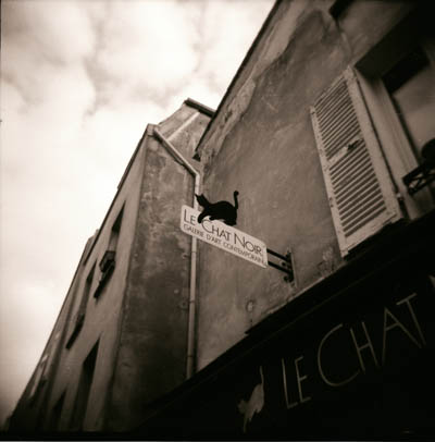 Chat noir