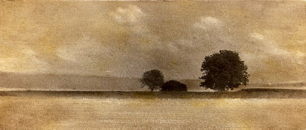 Paysage "les trois arbres" - Mediobrome