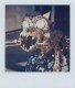 sx 70 - time 0