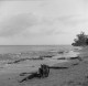 Plage de Fond-Larion (Martinique Sud)
Lubitel 166U
HP5 400 iso
1/125s - f.22