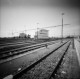 diana pinhole