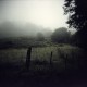 Holga - Parc Rgional des Volcans d'Auvergne - Mi-juillet