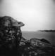 Holga - Tri-X 400