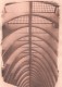 Cyanotype - Gare Calatrava Lige - Anciennement Gare des Guillemins